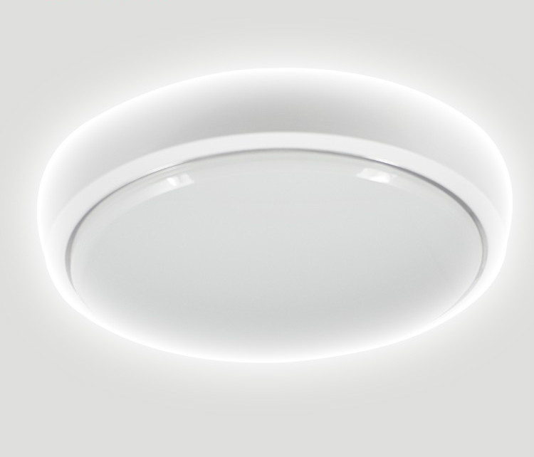 Modern Parlour Round LED Ceiling Mounted lamp