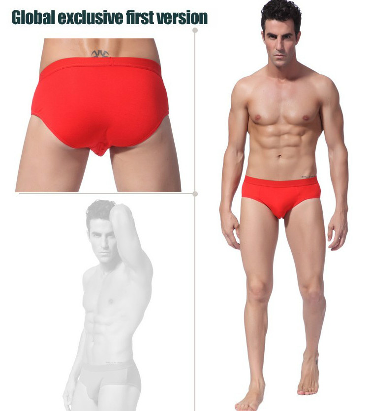 10 pieces/lot 2014 High Quality Sexy Modal men's underwear Briefs