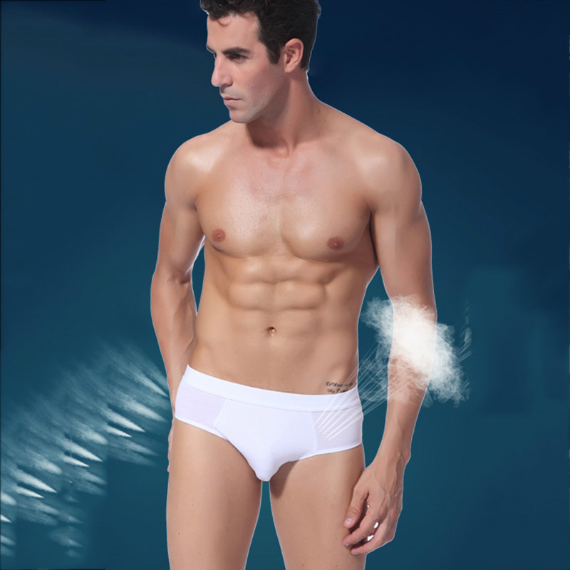 10 pieces/lot 2014 High Quality Sexy Modal men's underwear Briefs