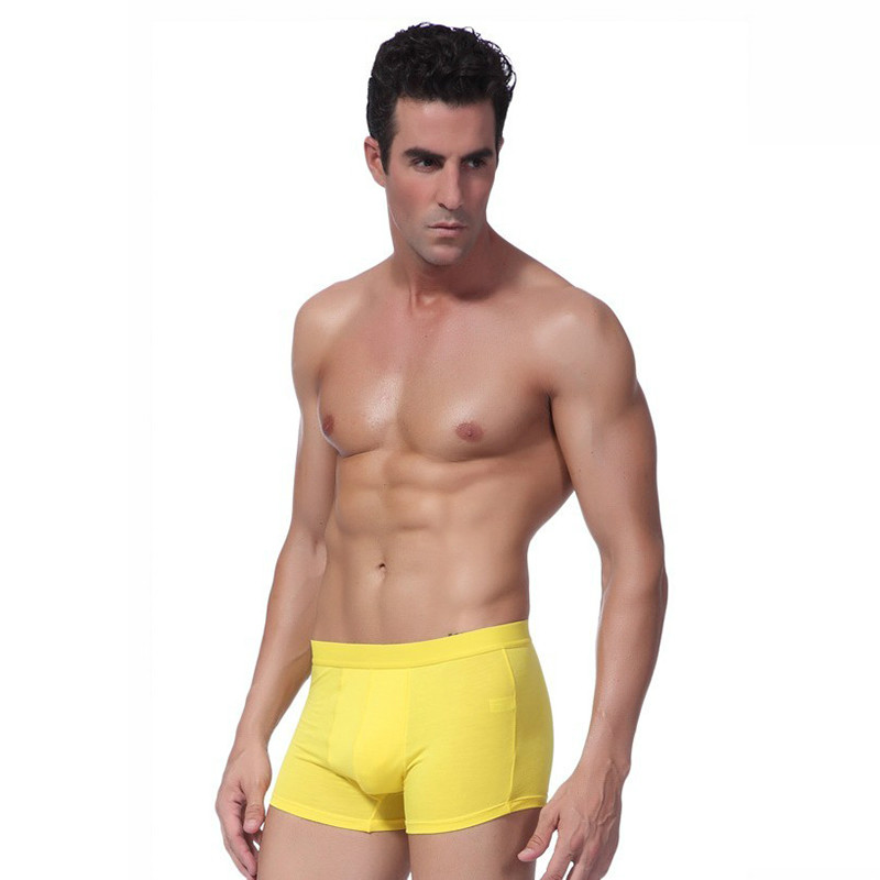 10 pieces/lot 2014 Hot Fashion Sexy Modal men's underwear boxers